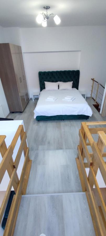 Duplex Belle View Sinaia-Free Parking Apartment Exterior photo