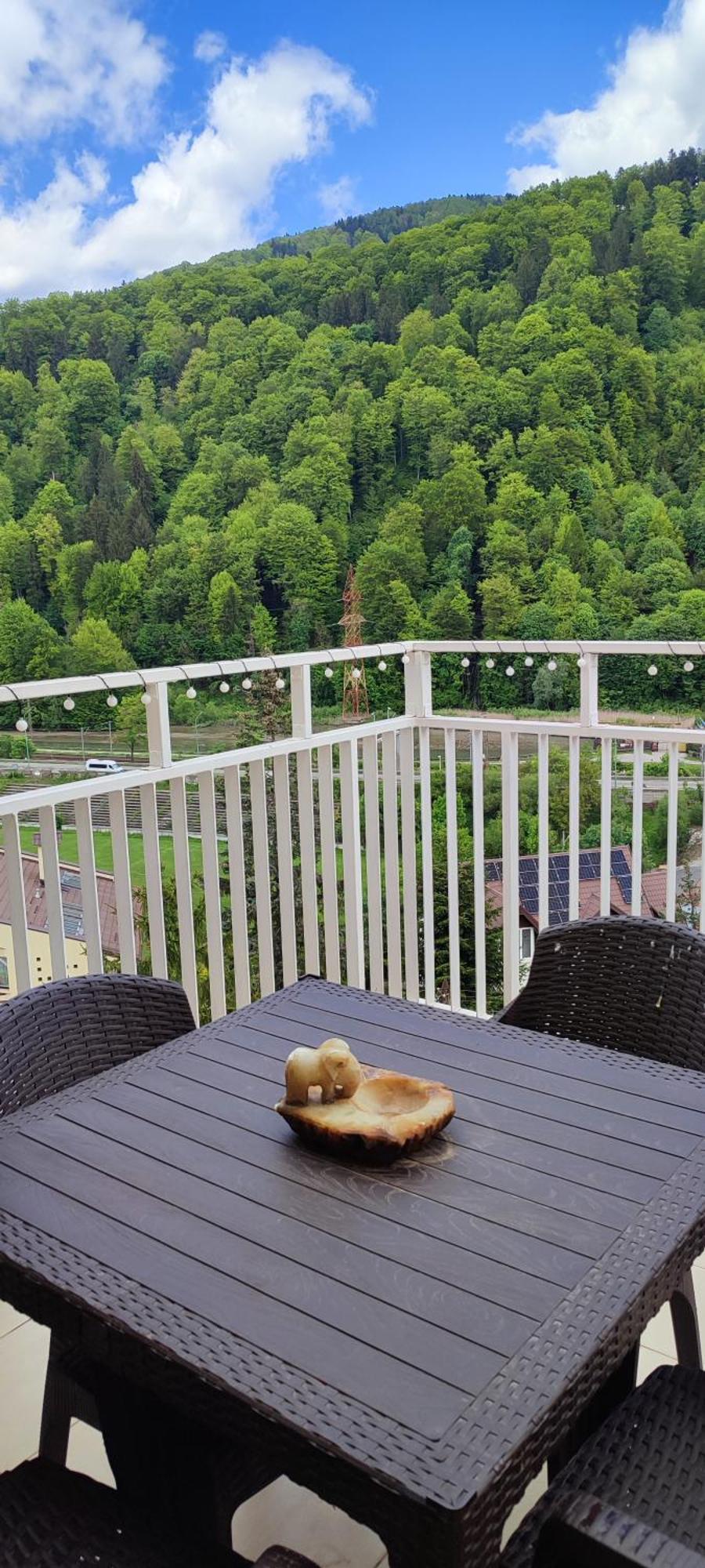 Duplex Belle View Sinaia-Free Parking Apartment Exterior photo