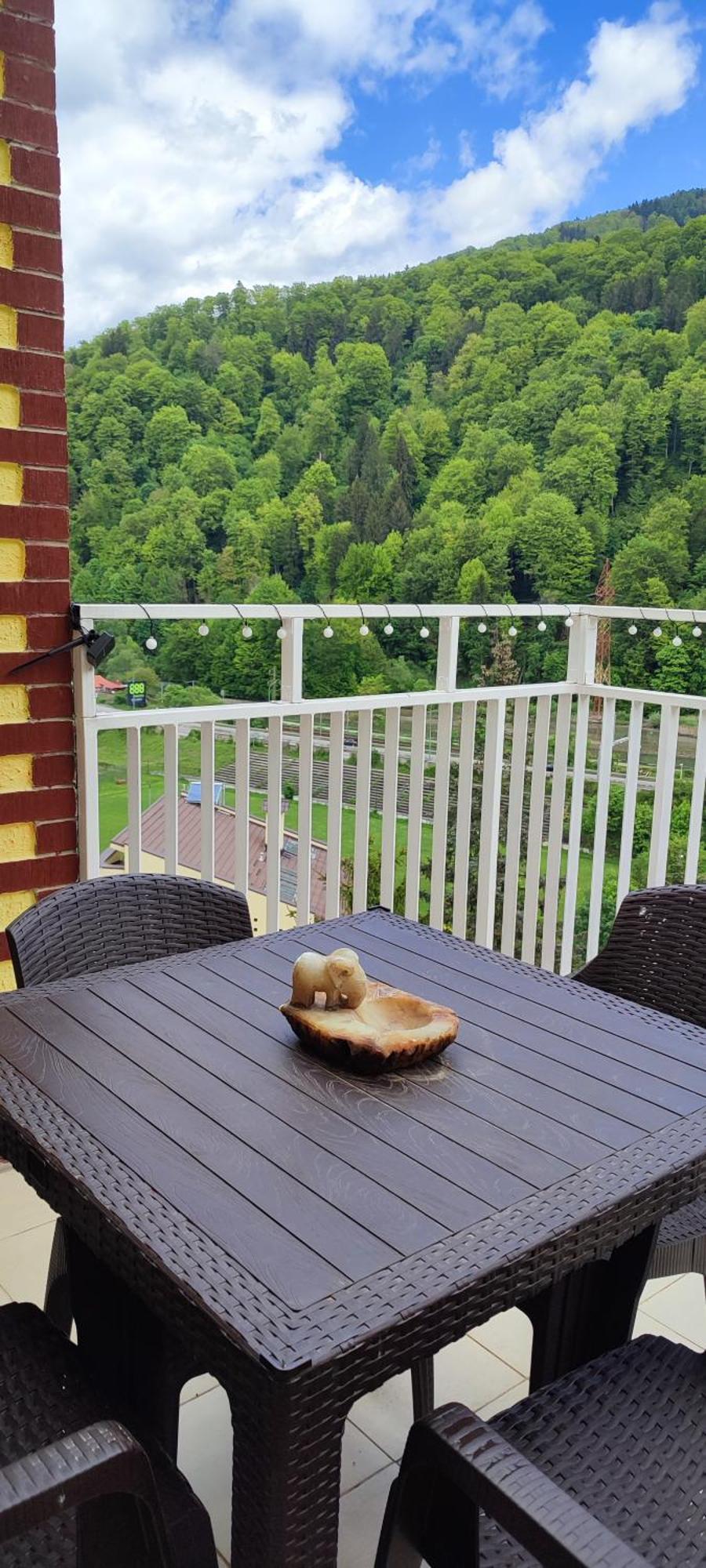 Duplex Belle View Sinaia-Free Parking Apartment Exterior photo